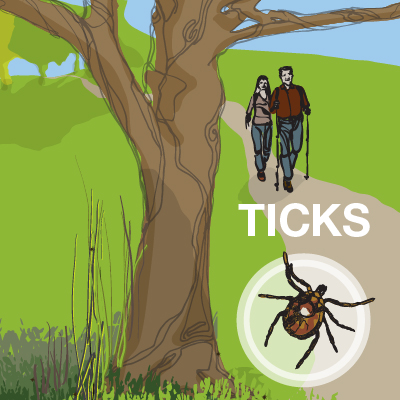 illustration of a tick  with hikers on a trail in the background