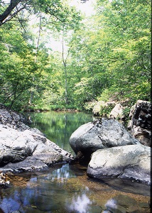 large rocks and trees line the creek bank