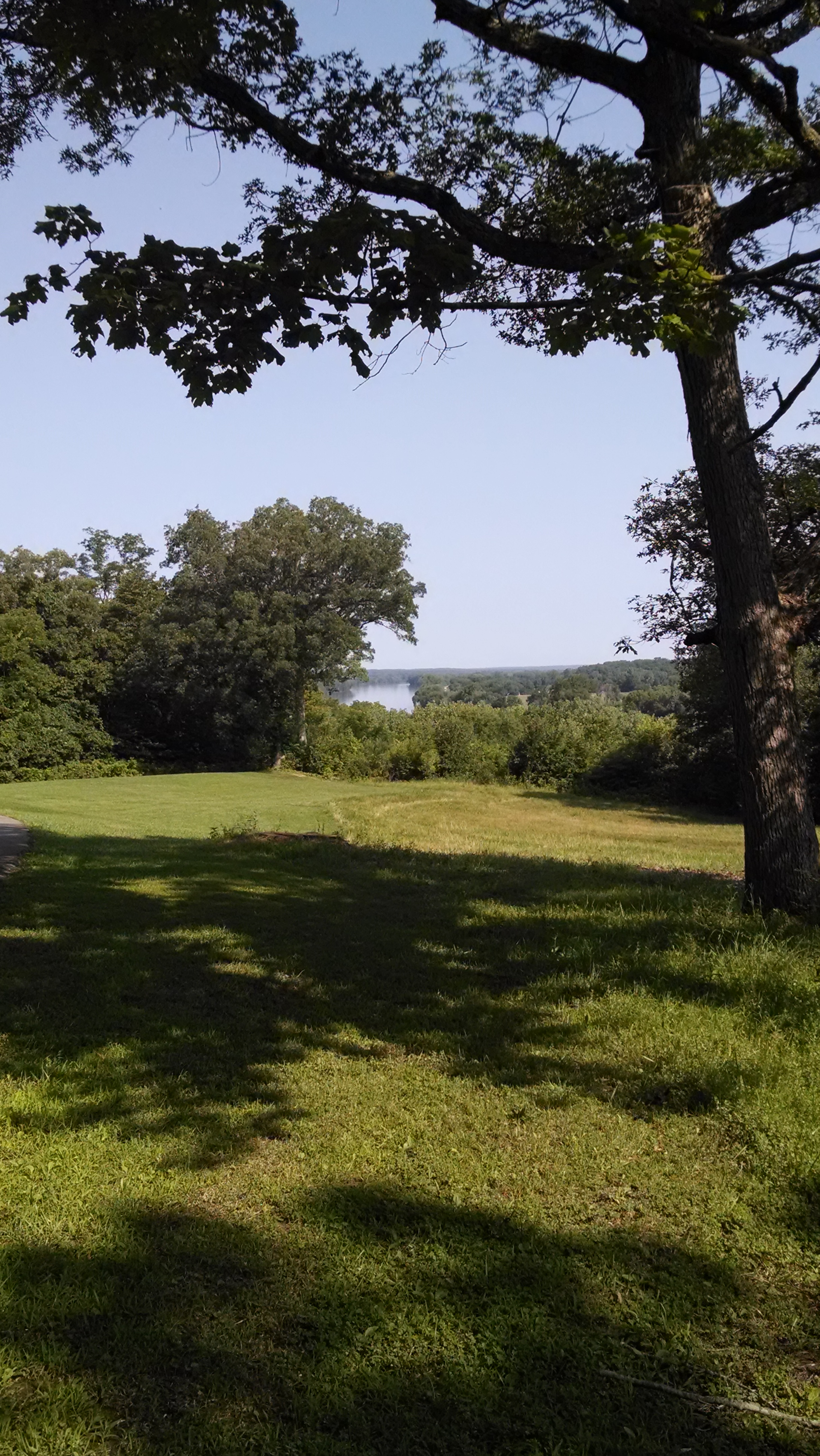 trees and river in the background