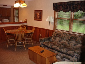 dining table and livning room area of loding unit