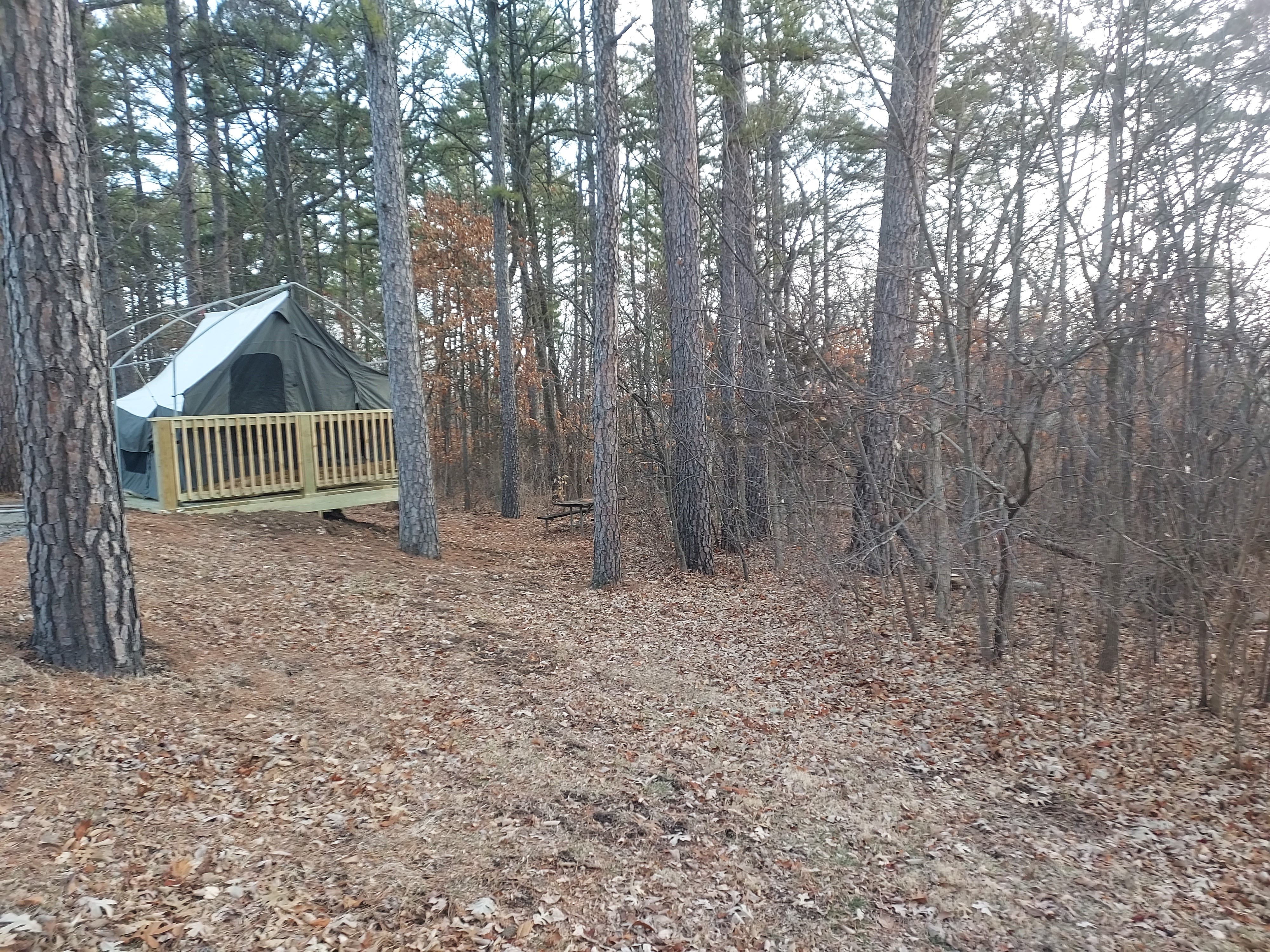 Tent on wooden platform in wooded area with leaves on the ground