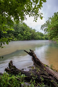 scenic view of the river