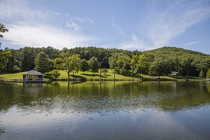 scenic view of the lake