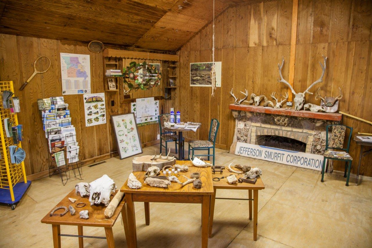 nature displays inside one of the buildings