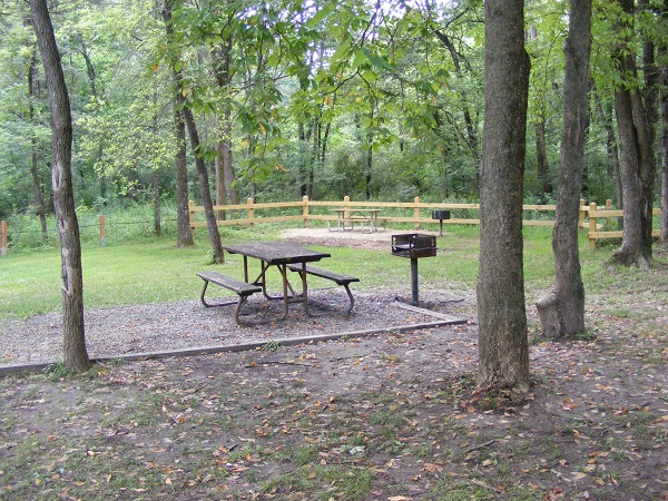 a picnic table and grill under tall trees