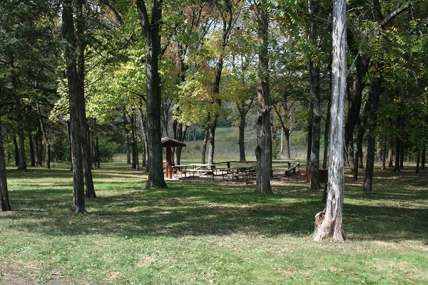 shaded area with picnic tables