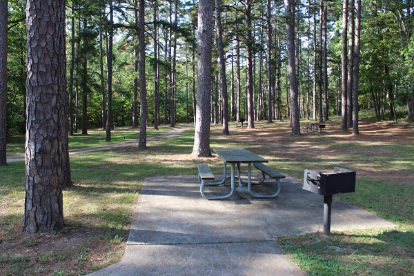 picnic tablea nd grill on a concete slab under the shade of lots of trees