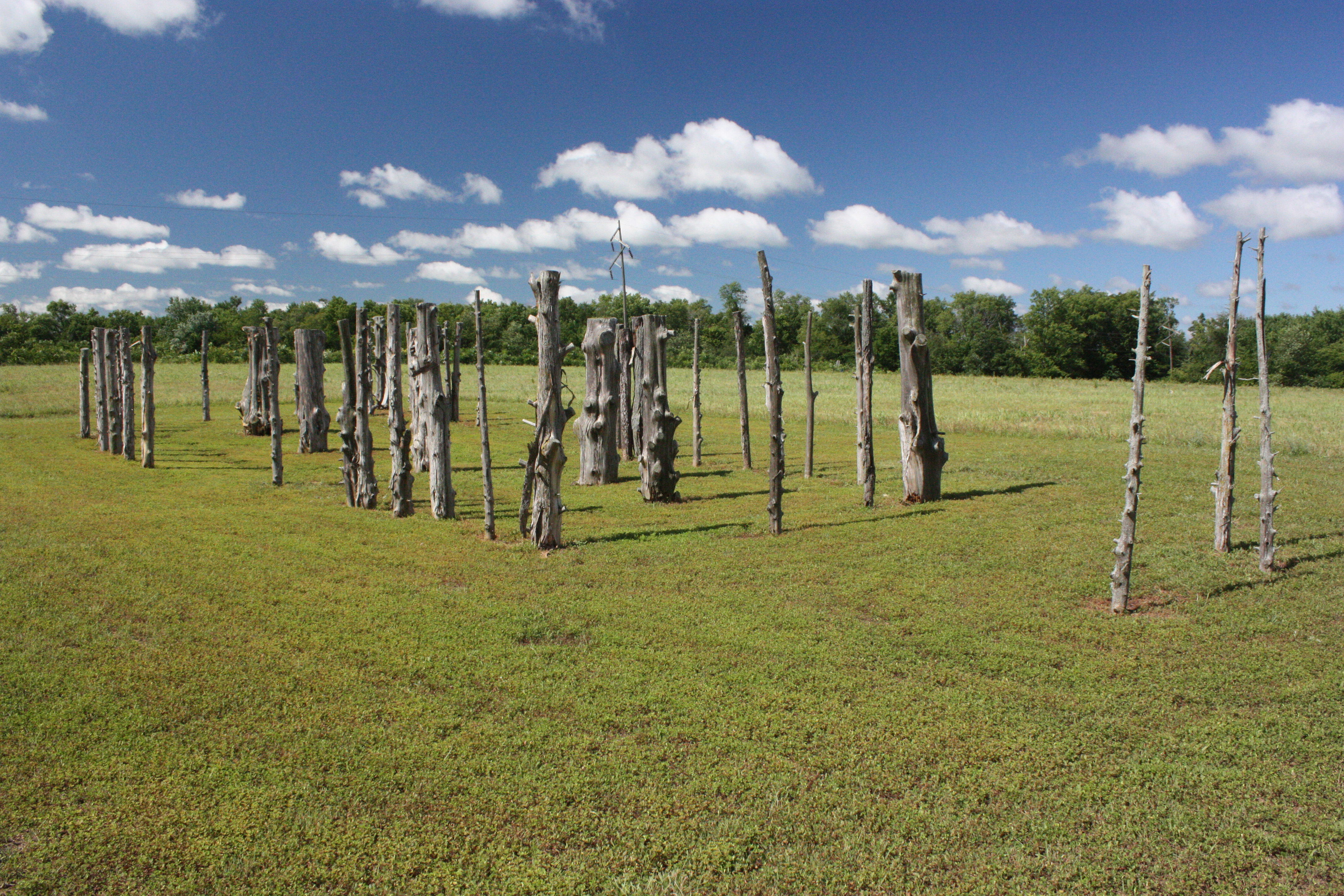 logs sticking out of the ground represent the size of a long house