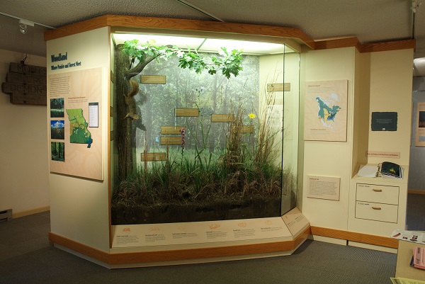 nature exhibit inside nature center