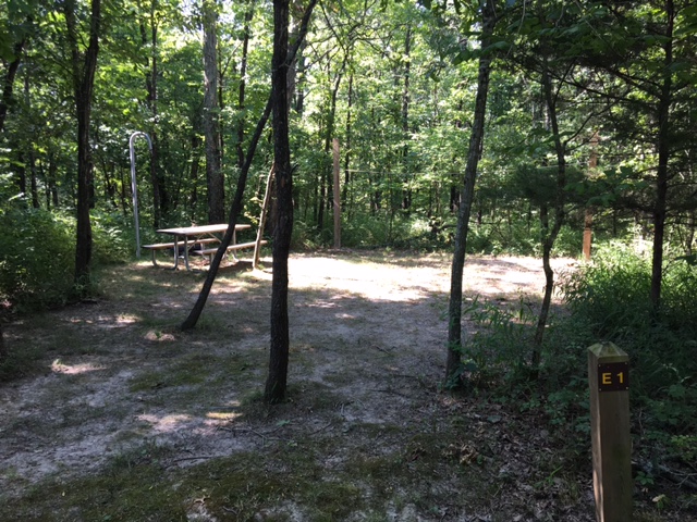 shaded campsite area with picnic table