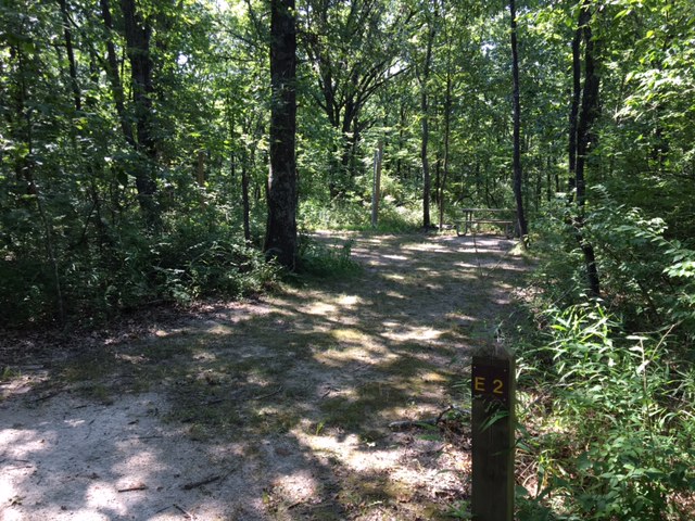 shaded campsite area with picnic table