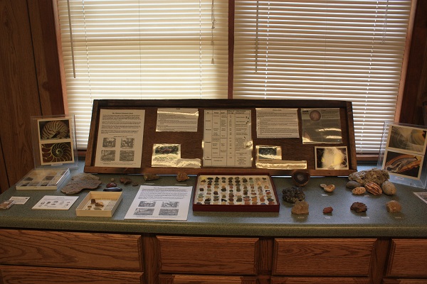 exhibits in the nature center