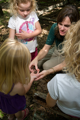 a naturalist shows some kids a frog