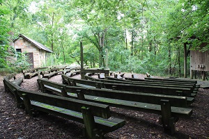 curved rows of wooden benches in the amphitheater