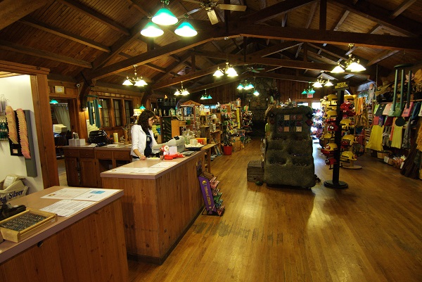 an employee behind the counter inside the large store