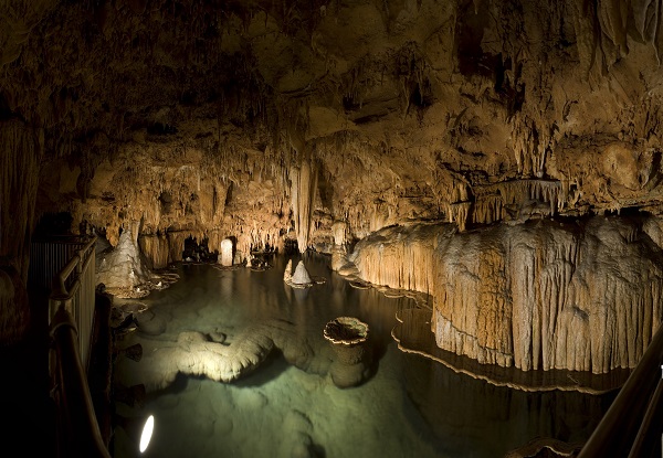 The Lily Pad Room inside Onondoga Cave