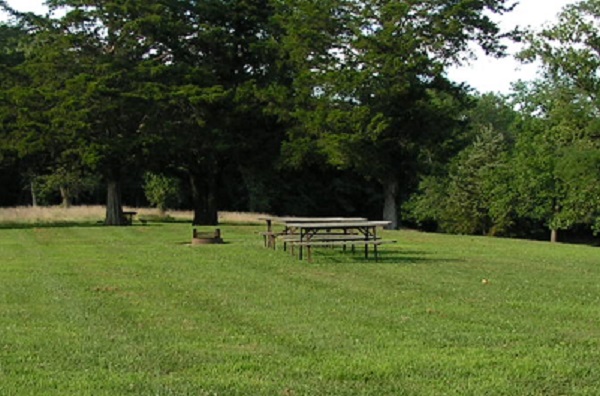 some picnic tables and a fire ring in an open area