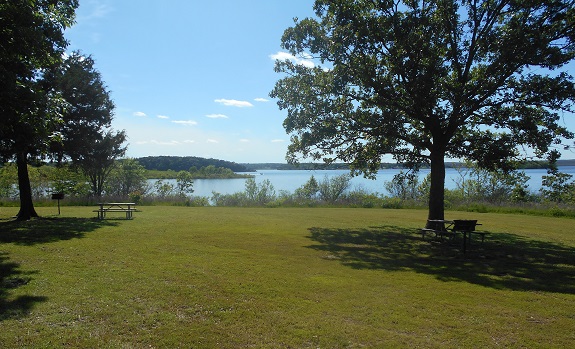 picnic tables scattered under trees near the lake