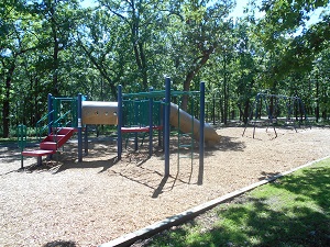 playground equipment with a slide and monkey bars and a swing set