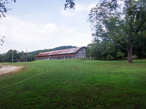 open grassy area with building in the background