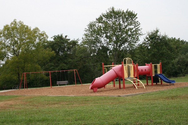 playground equipment with slides and monkey bars and a swing set