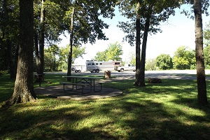 picnic table under large trees