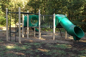 playground equipment with slides and monkey bars