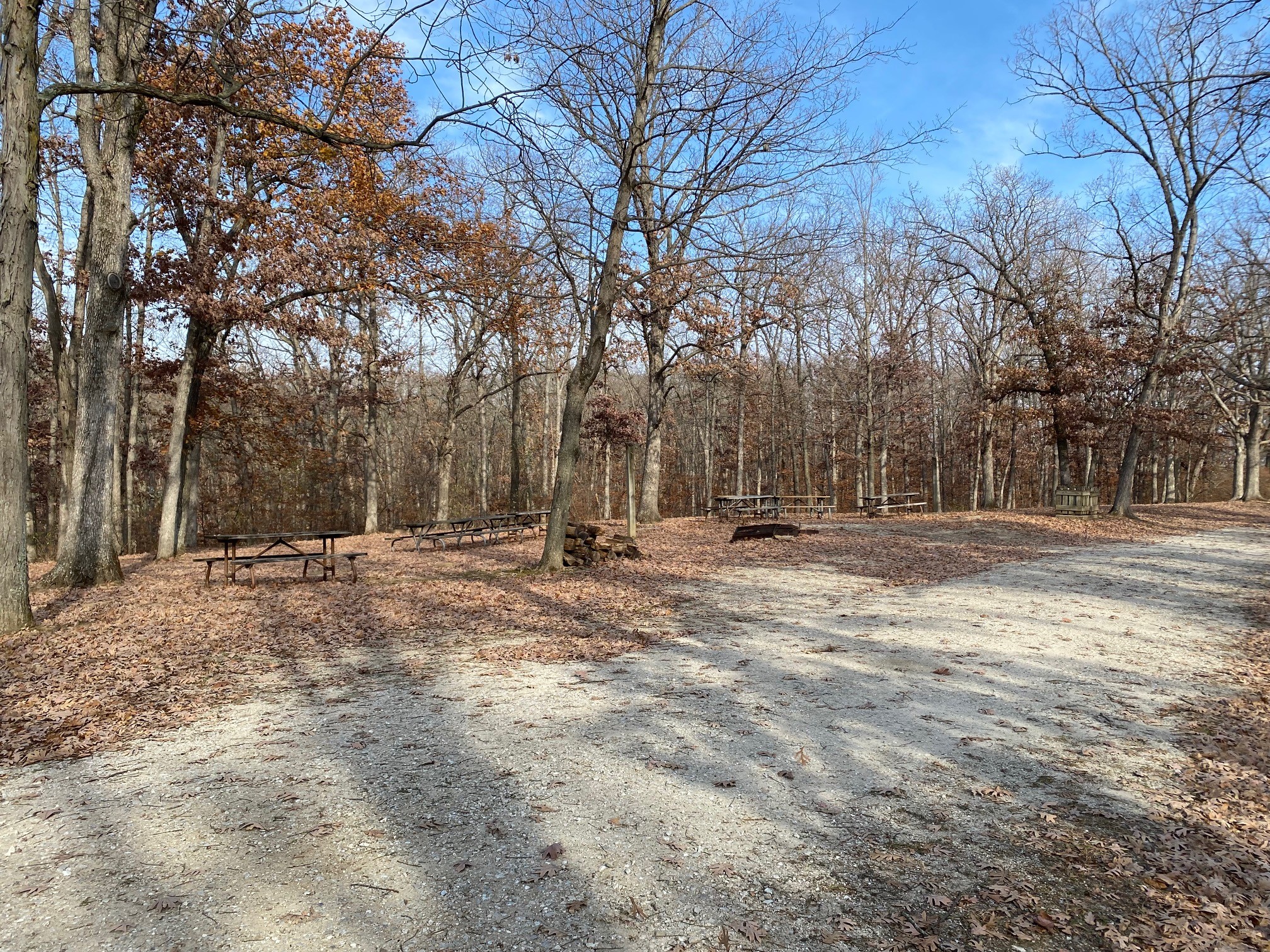 Picnic tables, firewood and a trash can under trees in the special-use areas