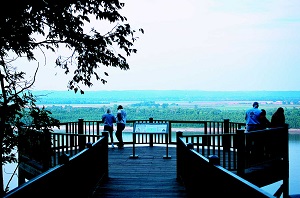 people standing on the overlook enjoying the view