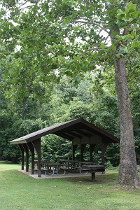a picnic shelter under a large shad tree
