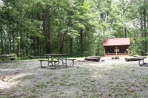 a picnic table and a group fire ring area