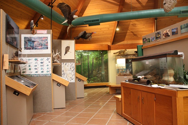 exhibits inside the visitor center