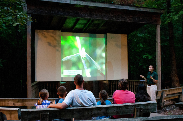 a family watches a program in the amphitheater