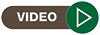 Video Button