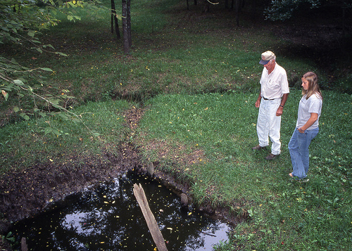 two people looking at one of the salt springs