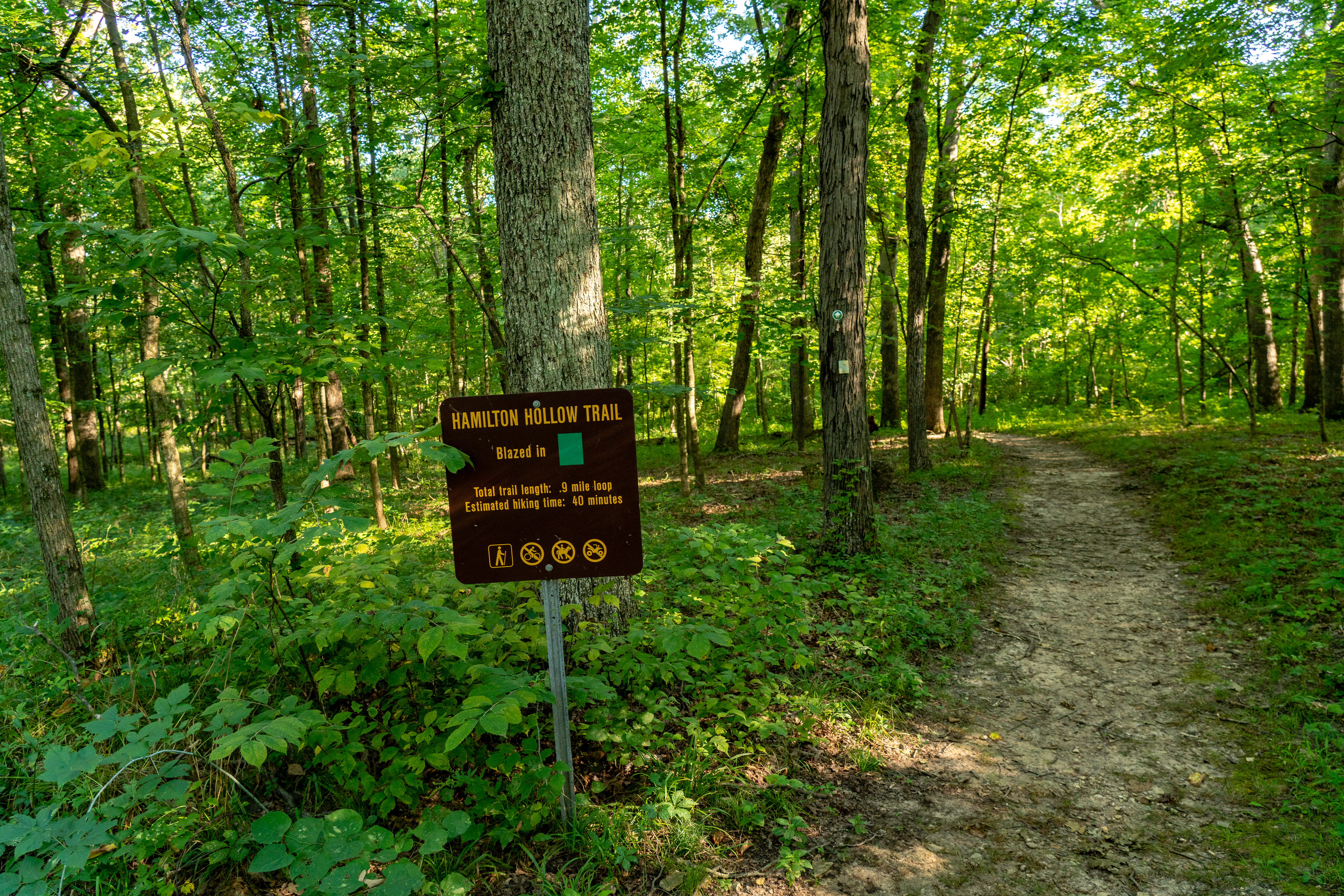 Hamilton Hollow Trail start sign at Cuivre River State Park