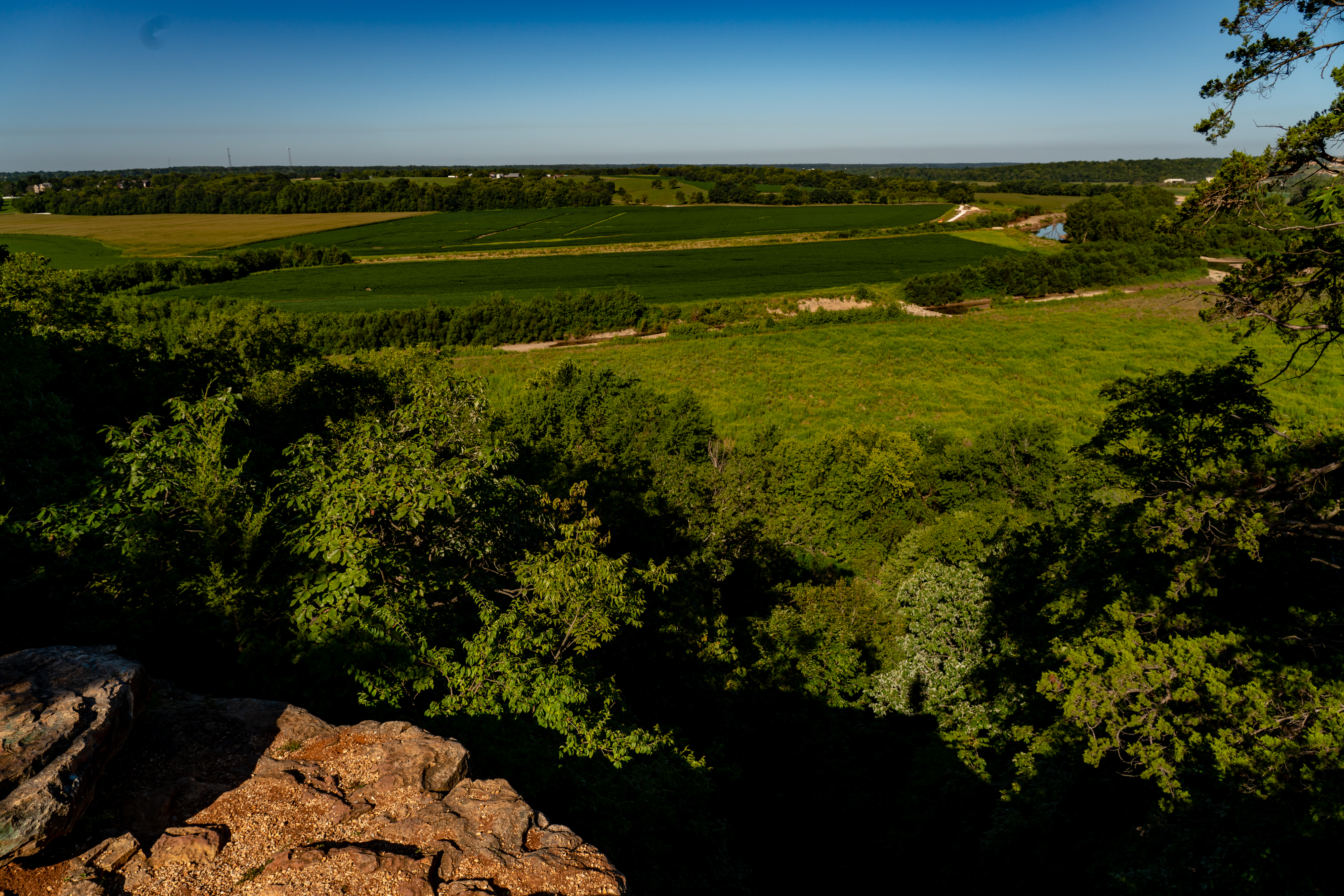 a forest and fields taken from above