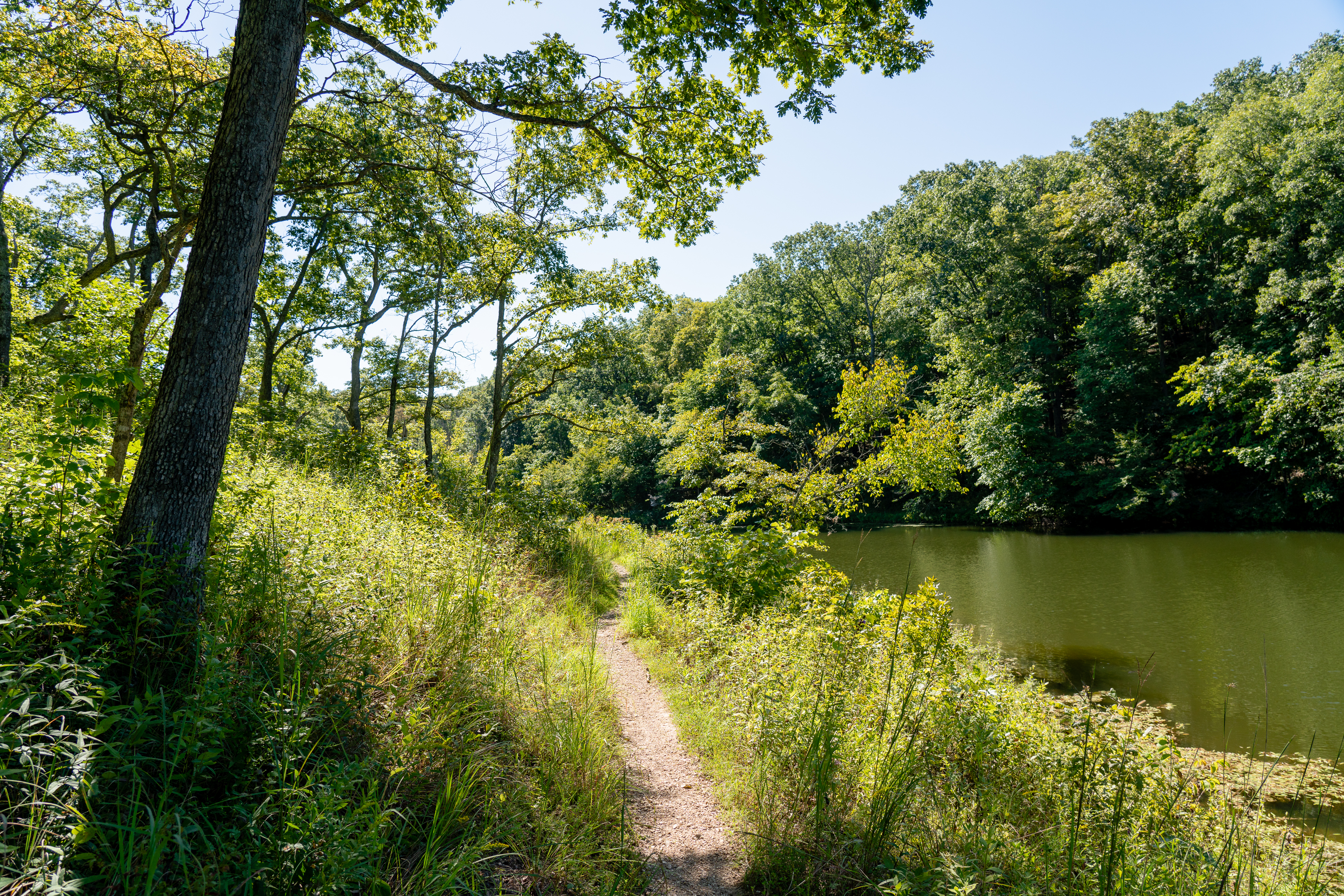 a narrow walking path next to a river