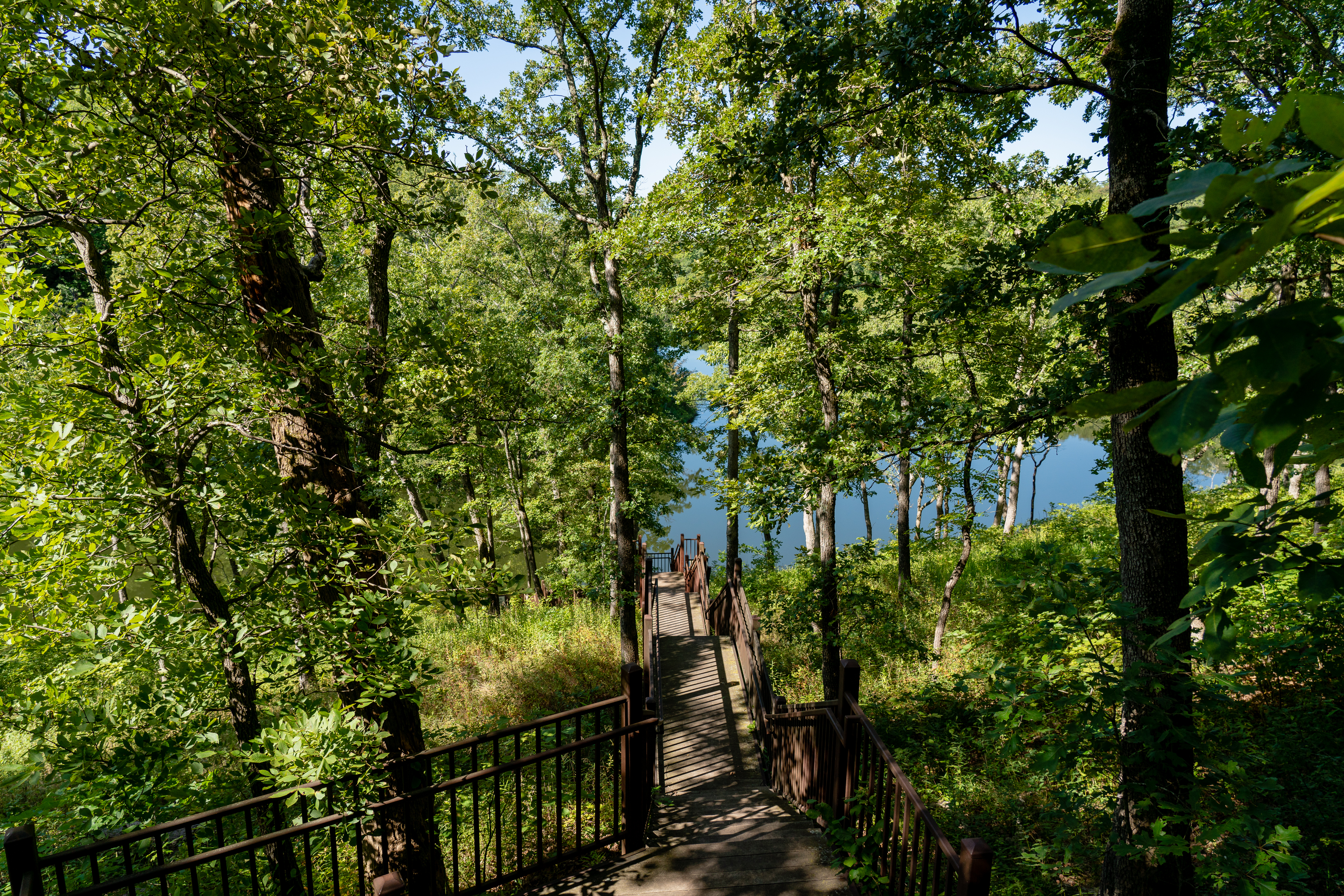 a steep wooden walking path down towards a river
