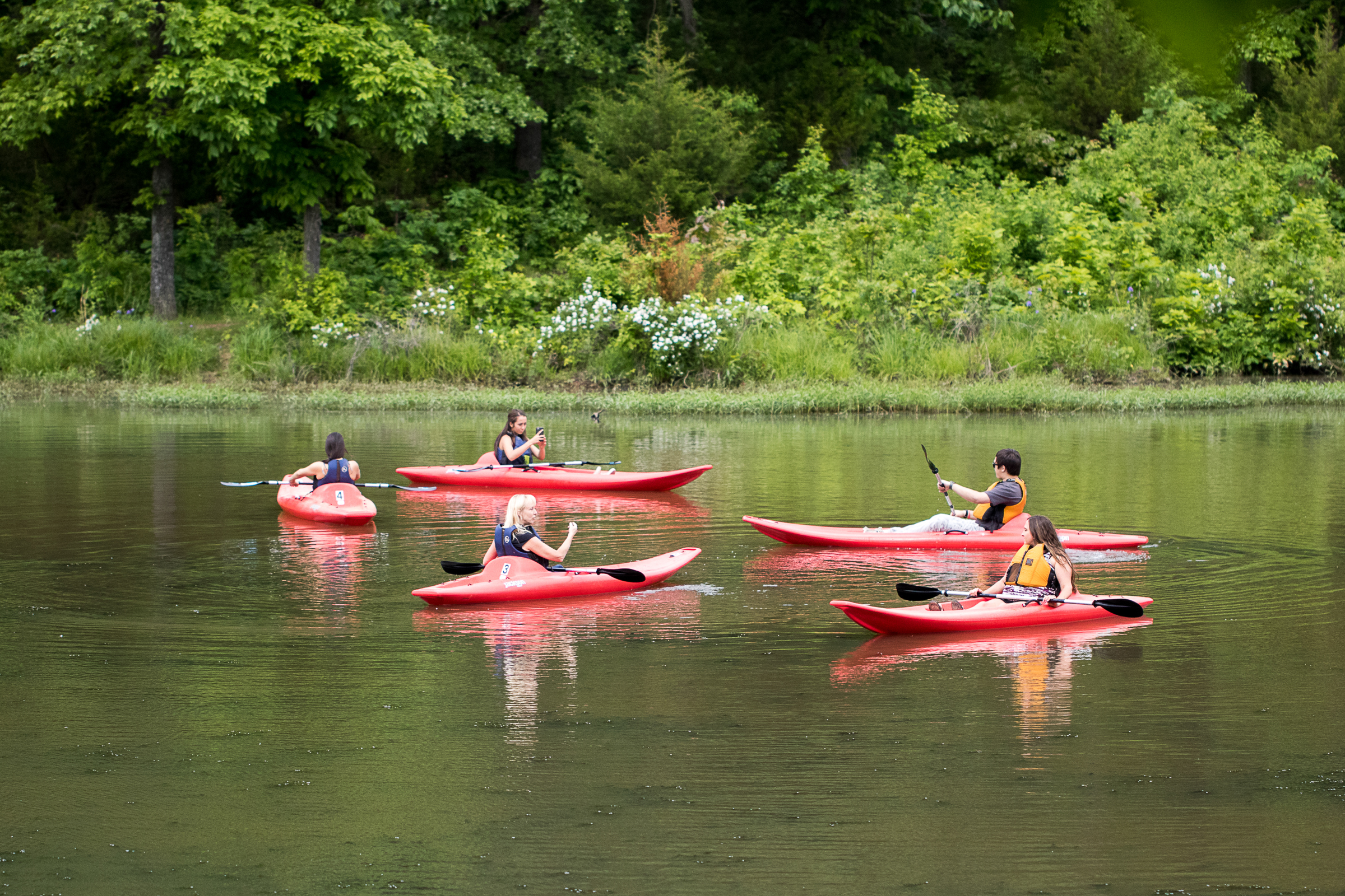 People kayaking