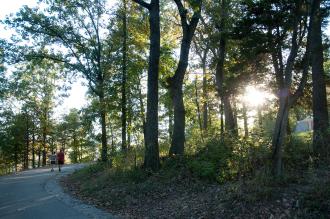 Trail by the woods