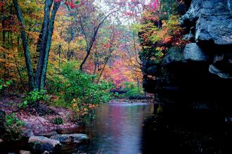 Rocky creek bank lined with trees containing green, yellow, red, and orange leaves