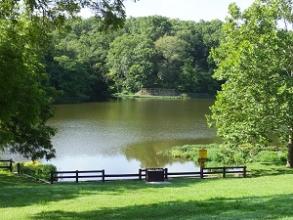 the lake