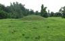 A mound in a grassy field