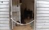Doorway into Mark Twain's cabin