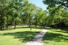 paved path that leads to the cabins
