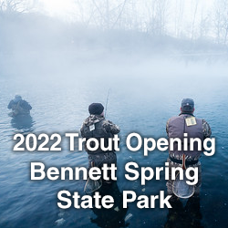 Link to Bennett Spring photos