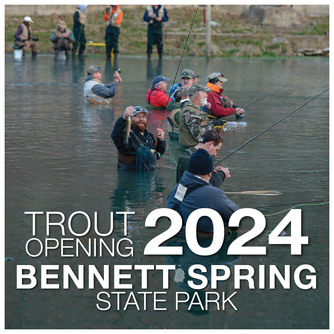 Anglers fishing in the stream at Bennett Spring State Park