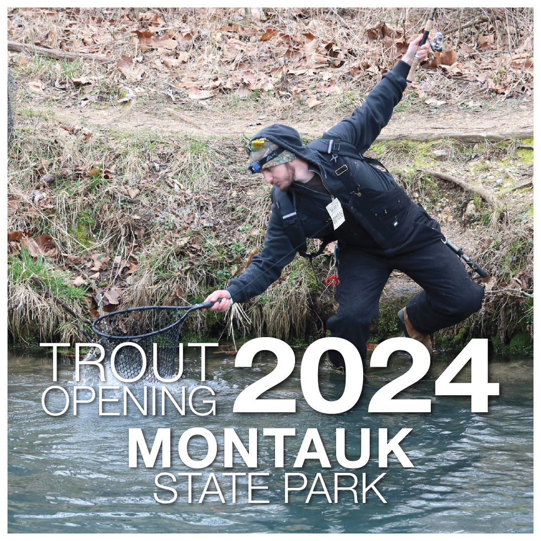 A man steps down from the bank to net a trout from the water