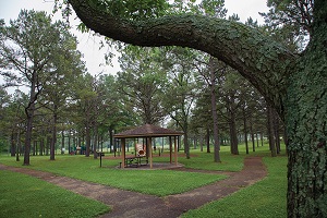 shady picnic area and playground